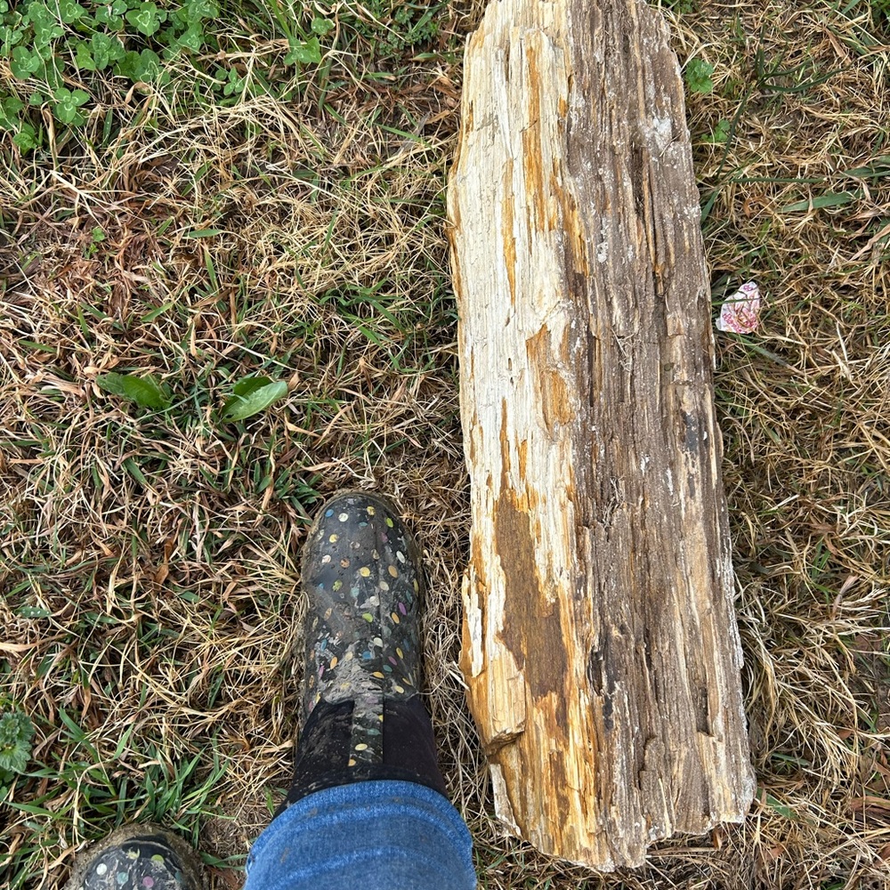 Rustic Wooden Log - Picture 2 of 2